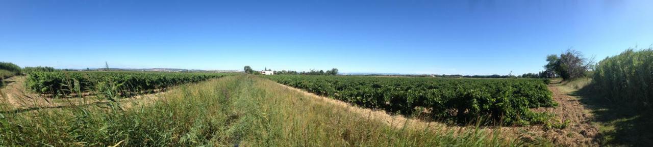 Domaine Limouzy Villa Narbonne Luaran gambar